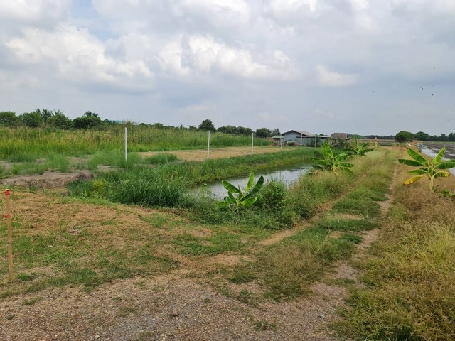 โปรปังส่งท้ายปี66เท่านั้น ลด10% ลาดหลุมแก้ว  คมนาคมสะดวกสบาย เหมะปลูกบ้านทำการเกษตรดินดีวิวสวย บ่อเงินปุทม ใกล้แหล่งน้ำเหมาะทำเกษตร  ใกล้ชุมชน 5ไร่  อำเภอลาดหลุมแก้ว ปทุมธานี ลาดหลุมแก้วไร่ละ 1ลบ. โทร 083-7124115