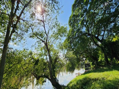 ขายที่ดินติดแม่น้ำแควน้อย กาญจนบุรี 