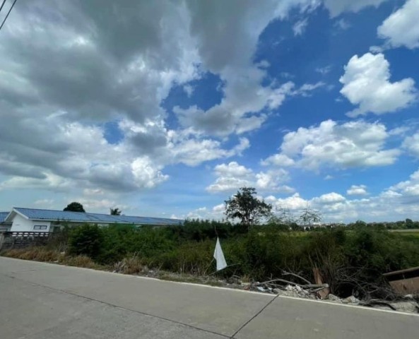 ขายที่ดิน 455 ตรว ใกล้บิ๊กซี โรงเรียนมารีย์วิทยา   ไทรน้อย นนทบุรี 