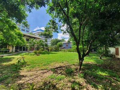 ขายที่ดินงามวงศ์วาน ขนาด 1-0-14ไร่ ซอยทิมแลนด์ ทำเลดีมาก