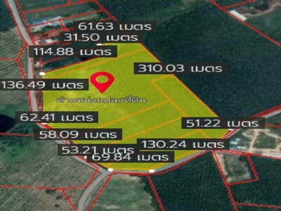 ขายที่ดินหลังปั๊มปตท. ห้วยมะระ หนองเสือช้าง หนองใหญ่ จังหวัดชลบุร