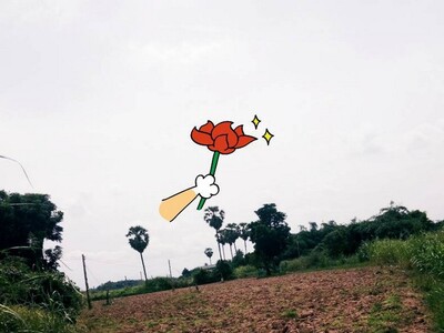 เล็งทรัพย์ดีเก็งอนาคต ขายที่ติดแม่น้ำน่าน ต.โคกหม้อ ชุมแสง.นครสวร