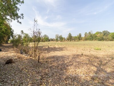 ขายที่ดินขามทะเลสอ 7 ไร่ 111 ตร.ว. ต.โป่งแดง โคราช  สูงเท่าถนน ฟร