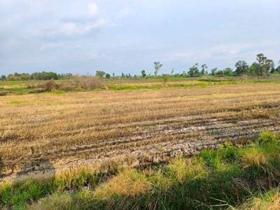 ขายที่ดินเปล่า ทำเลดี ติดธารน้ำธรรมชาติ จังหวัดนครนายก