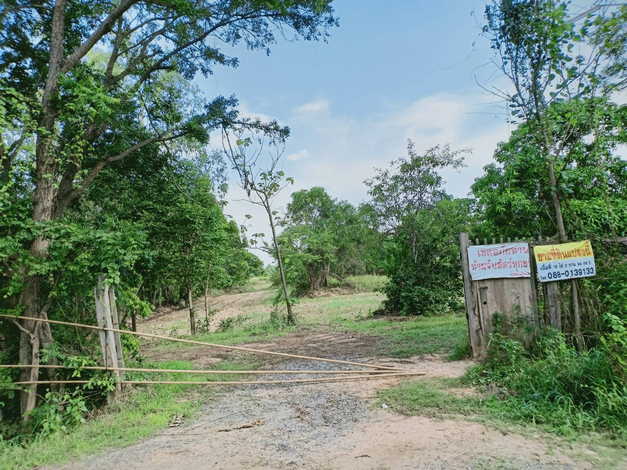 ขายที่ดินตัวเมืองชัยภูมิ เกือบ 19 ไร่ บรรยากาศดี ที่สวย ใกล้แหล่งสาธารณูปโภคทั้งห้าง โรงพยาบาล (ถมที่แล้วบางส่วน)