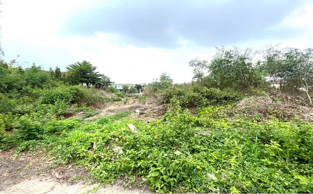 ขายที่ดินแปลงสวย ถมแล้ว หมู่บ้านเมืองเอก ซอยเอกรัตน์ 13 เมืองปทุมธานี