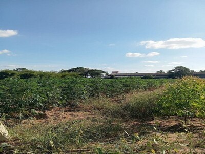 ขายที่ดินนิคมอุตสาหกรรม WHA2 แปลงสวย ทำเลดีมาก