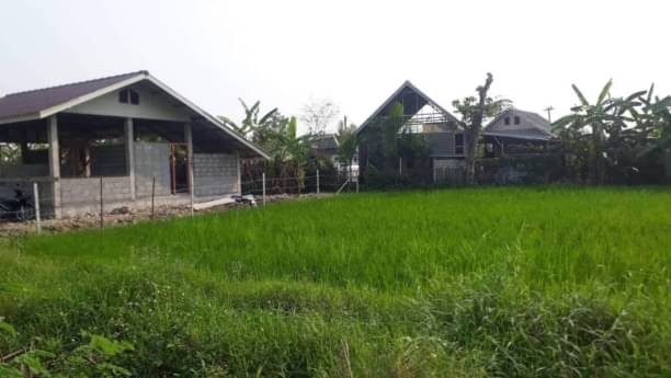 ขายที่ดิน 124 ตรว. เพียง 900,000 บาท #หางดง #ยังไม่ได้ถม #ด้านหน้าติดคลองชลประทานเล็ก น้ำไหลผ่านตลอด