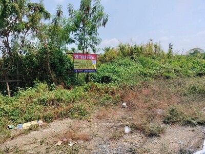 ที่ดินติดถนน 2-3-40 ไร่  2 แปลงติดกัน   ท่าทราย สวนส้ม บ้านเกาะ  