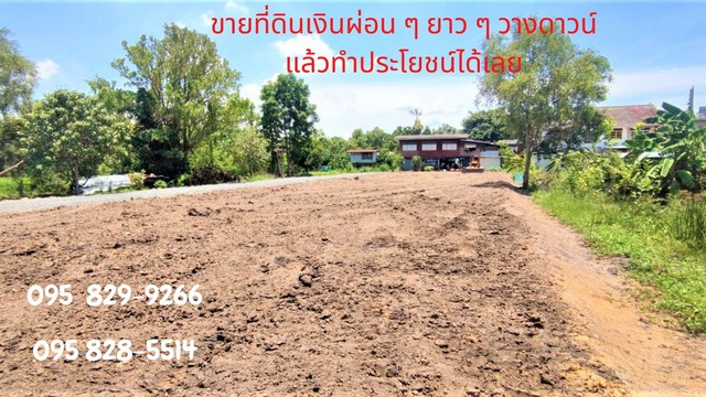 ขายที่ดินเงินผ่อนและเงินสด ให้ผ่อนยาว ๆ 8 ปี  จำนวน 40-200 ตรว ถมแล้วติดน้ำสวย  สวนพริกไทย  ปทุมธานี