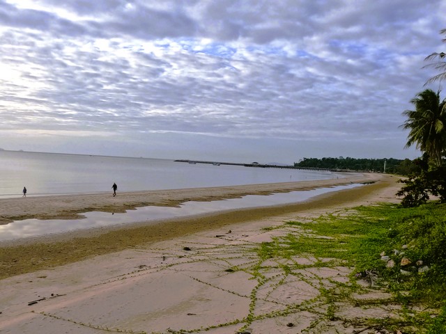 ที่สวยติดหาดทรายขาวใจกลางอำเภอปะทิวใกล้หาดสวยทุ่งวัวแล่น  ลงหาดส่วนตัวได้เลยริมชายหาดติดทะเล หาดสะพลี 119 ตร.วา 6.5ลบ.