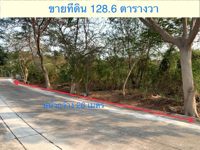 ขายที่ดินเปล่า 128.6 ตรว แปลงสวย ถมแล้ว ใกล้เซ็นทรัลเวสเกต หมู่บ้านชัยพฤกษ์ บางใหญ่ ซอยวัดลาดปลาดุก