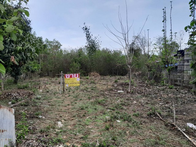 ขายที่ดินสวย 222 ตร.วา  ติดถนนเดินทางสะดวก หน้ามหาวิทยาลัยราชภัฏลำปาง   ZN454 