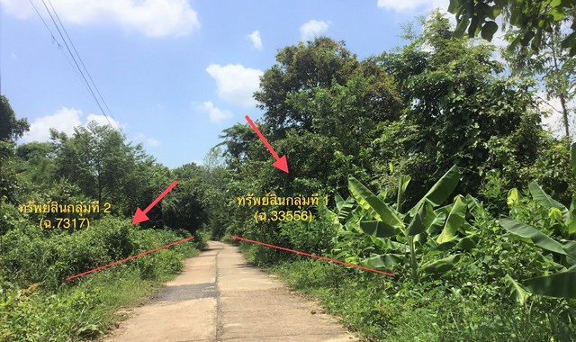 ขายที่ดินว่างเปล่า อำเภอเรณูนคร นครพนม (PKK01-11059)