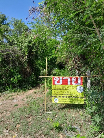 ขายที่ดินสวย 299 ตร.วา  ติดถนนเดินทางสะดวก หน้ามหาวิทยาลัยราชภัฏลำปาง   ZN453 