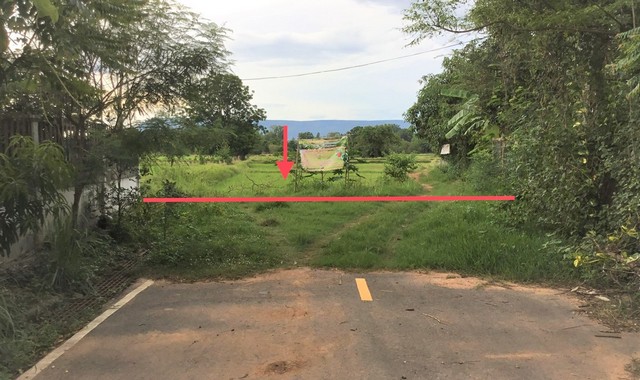 ขายที่ดินว่างเปล่า  อำเภอบ้านแท่น  ชัยภูมิ (PKK01-11305)