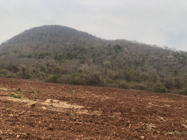 สำหรับชาวนักลงทุนและผู้หาซื้อทรัพย์ดีดี   ขายอสังหาริมทรัพย์ ขายที่ดินติดภูเขา ต.พระนอน อ.เมือง จ.นตรสวรรค์ วิวสวยมากๆๆ 5ไร่เศษ โทร 096-882-1857