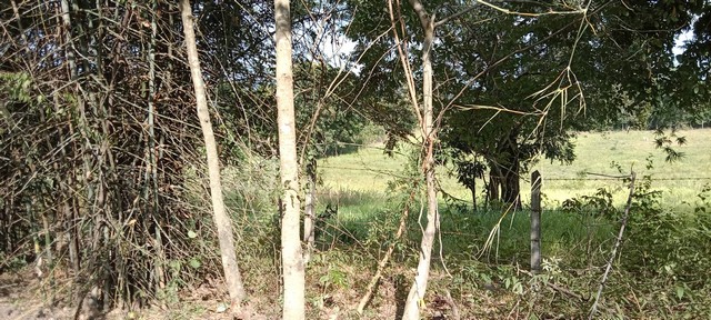 สำหรับชาวนักลงทุนและผู้หาซื้อทรัพย์ดีดี   ที่สวยติดทางหลวง1107 เมืองบ้านตาก จ.ตาก คมนาคมสะดวกมาก 36 ไร่เศษ อ.บ้านตาก  จ.ตาก  ติด ทล.1107 โทร 0837124115