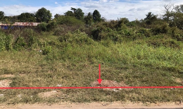 ที่ดินว่างเปล่าใกล้ โลตัส โก เฟรช หนองไผ่ อ.เมืองขอนแก่น จ.ขอนแก่น PKK01-11804