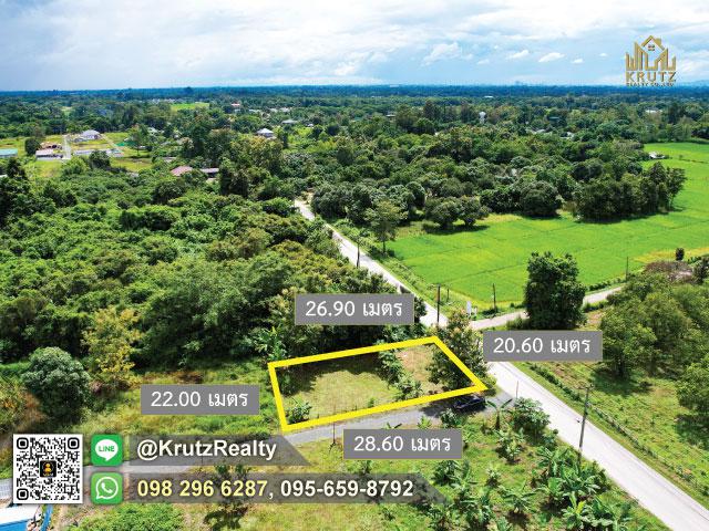 ขายที่ดิน 150 ตร.ว.ราคาถูก ทำเลดี ทีดินสวย บรรยากาศธรรมชาติในหมู่บ้านติดถนน ต.เมืองเล็น อ.สันทราย จ.เชียงใหม่ 