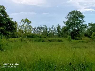 ขายที่ดิน 6ไร่ ราคาถูก