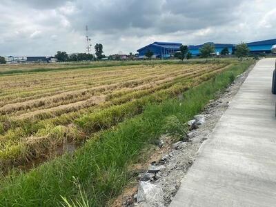 ขายที่ดิน 5-40 ไร่ ถ.คลองอุดมชลจร อ.ฉะเชิงเทรา ถมที่ดินให้ฟรีเสมอ