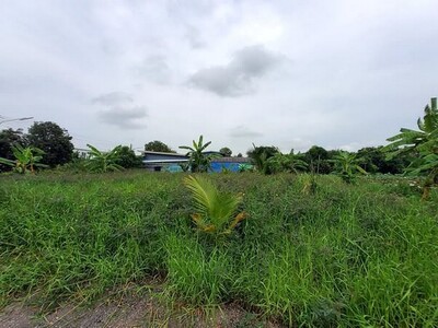 ที่ดิน 300 ตารางวา    คลองสาม 5/15 อ.คลองหลวง จ.ปทุมธานี