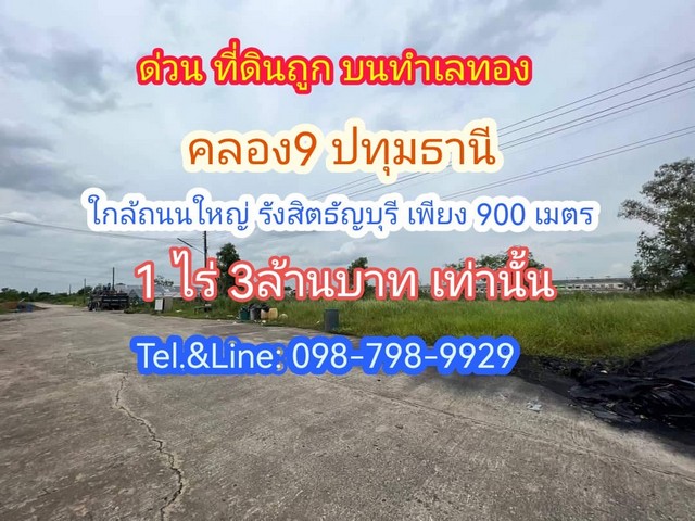 คลอง9 ธัญบุรี(ซ.ต้นไม้ใหญ่) ใกล้ถนนใหญ่รังสิตนครนายก 900 เมตร 1 ไร่