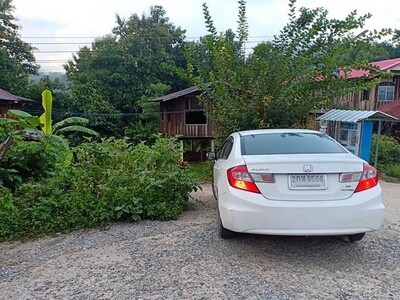 โปรปังทรัพย์ดีปลายปี68  ที่ดินติดลำธาร น้ำมวบ ใสไหลฉ่ำตลอดปี จ.น่