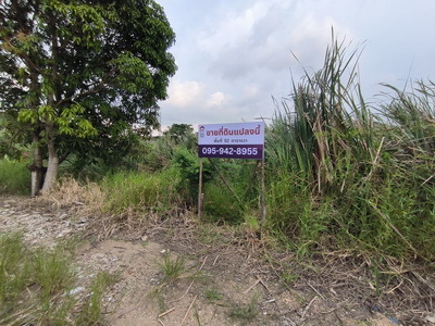 ขายที่ดินเปล่าบางนา ใกล้เมกาบางนา ทำเลอนาคต