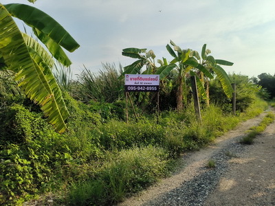 ขายที่ดินเปล่าบางนา ใกล้เมกาบางนา