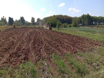 โปรปังทรัพย์ดีปลายปี68 ขายที่ติดน้ำโขง ต.กุดบง โพนพิสัย หนองคาย โปรปังทรัพย์ดีปลายปี68 ขายที่ติดน้ำโขง ต.กุดบง โพนพิสัย หนองคาย