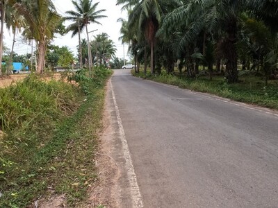 โปรปลายปีรับลมหนาวมาแล้ว ที่ดินติดถนนหลวงใกล้หาดบางเบิด ไร่ 8แสน