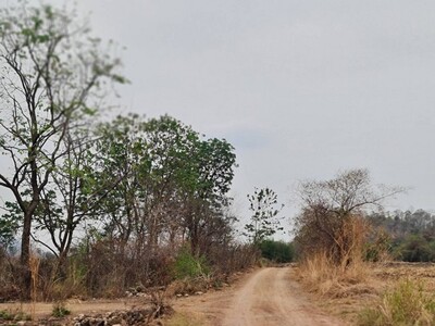 โปรปลายปีรับลมหนาวมาแล้ว ขาย/เช่า ที่ติดภูเขาเมืองนครสวรรค์ 