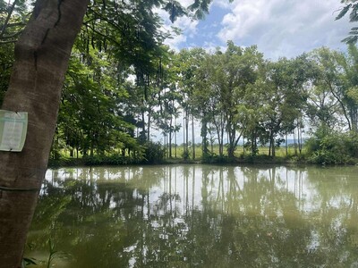 โฮมสเตย์วิวทุ่งนาให้เช่าบนเนื้อที่ 10 ไร่เศษ พร้อมสิ่งปลูกสร้าง