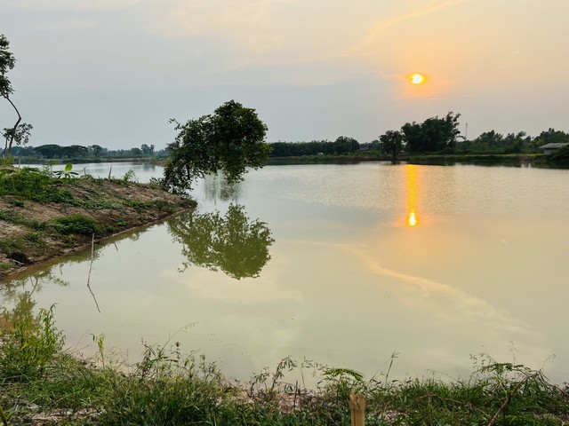  ขายดินใกล้บึงหนองคาย ติดหนองน้ำ สวยมาก อ.เมือง จ.หนองคาย