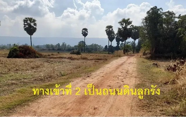 ขายที่ดิน 1 ไร่ 1 งาน 29 ตร.ว วิวเขา อ. วังทอง จ. พิษณุโลก