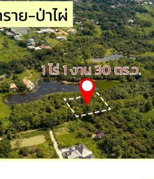ที่ดินสวยติดทะเลสาบสระขนาดใหญ่ 8,000/ตร.วา. @สันทราย-ป่าไผ่ (ใกล้ ม.แม่โจ้) 