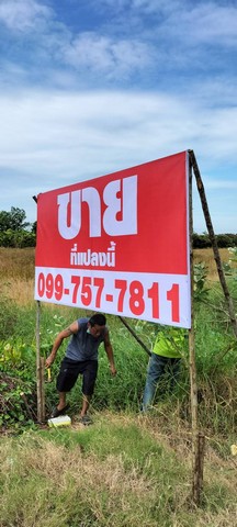 ขายถูกที่ดินใกล้อบต.หนองเพรางาย อ. ไทรน้อย จ.นนทบุรี  