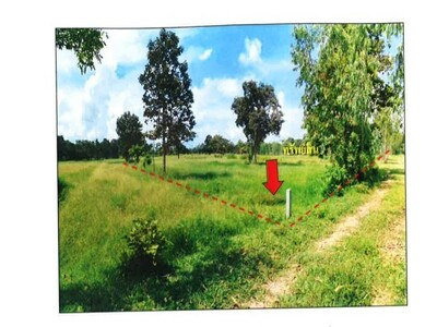 ขายที่ดินเปล่ายกแปลง ติดถนนใหญ่ จังหวัดมหาสารคาม