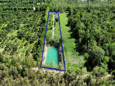 ขายที่ดิน 4-1-40ไร่ 2.49ล. สวนมะม่วง สระน้ำ อ.ดอยหล่อ เชียงใหม่