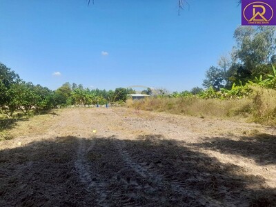 ขายที่ดินเปล่า ราคาหลักแสน ทำเลดี เหมาะสร้างบ้าน  พนัสนิคม ชลบุรี