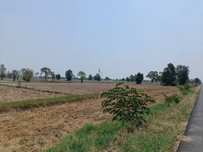 ขายที่ดิน 11 ไร่ 2 งาน 39 ตารางวา เจ้าของขายเอง  จังหวัดสุรินทร์