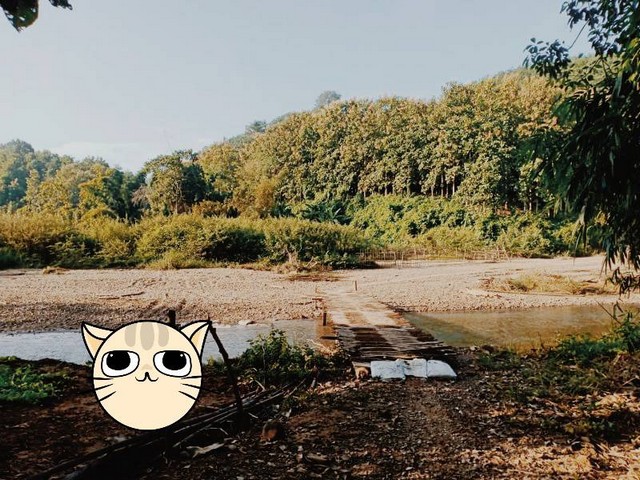 ทรัพย์ราคากันเองคุยกันได้เจ้าของขายเอง ที่สวยวิวล้าน 800000บาท 3-0-35ไร่ อำเภอสันติสุข น่าน