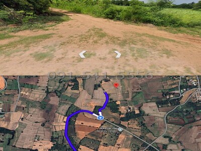 ขายที่ดิน 25-3-93.3 ไร่ สูงเนิน นครราชสีมา