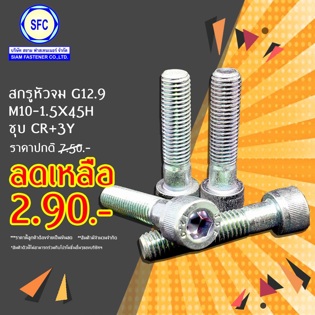 โปรโมชั่น สกรูหัวจม