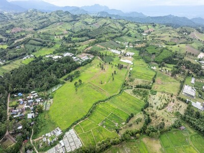 ขายที่ดิน ที่ดิน นะโมแลนด์ (Namoland) Heaven Forest Phase 3