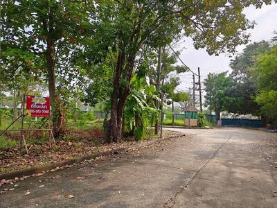 ขาย ที่ดินเปล่า รวมสองโฉนด ม.นวธานี เสรีไทย 59