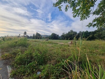 ขายที่ดิน 7ไร่ 3งาน ทำที่พักผู้สูงอายุ บางเสร่ สัตหีบ ชลบุรี