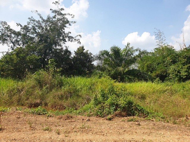 ขายที่ดิน 1ไร่  วาละ 5,500  คลองสอง(ซอยเอราวัณ8) ถนนคลองหลวง เลียบคลอง 2 ตำบลคลองสอง อำเภอคลองหลวง